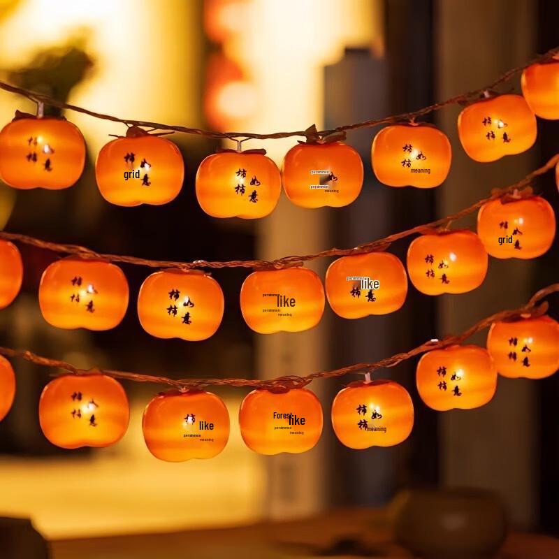 

Solar Persimmon Lantern String Lights