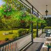 Hanging Flower Plant In Plastic Basket for Patios Garden Porch Deck Wedding Party Decorations
