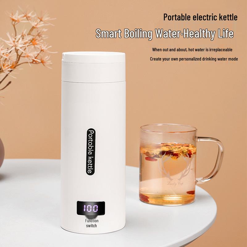 Portable Mini Electric Travel Kettle for Dorm or Home Use
