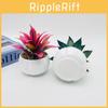 Factory Artificial Succulent Plant Container With Plastic Material For Living Room And Photography Props