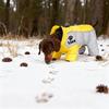 Reflektierende Wasserdichte Hundejacke - Warmer Vierbeiniger Wintermantel