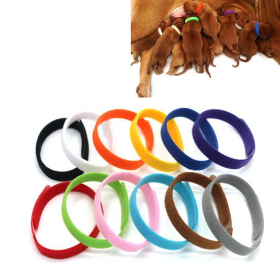 12Pcs Adjustable Pet Collar Anti-lost Soft Name ID Collar for Dog