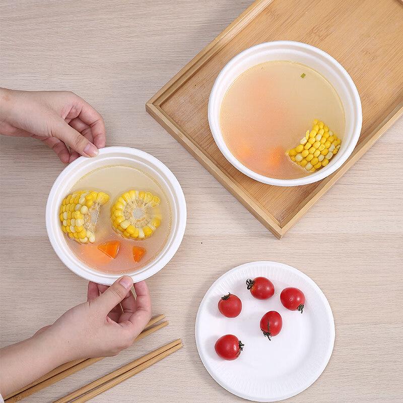 Disposable Sugarcane Pulp Dinnerware Set