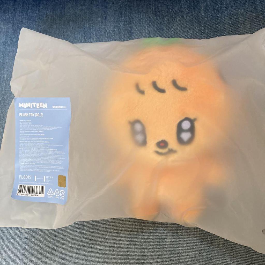 [USED] Seungkwan MINITEEN Pop-up Plush Toy Seventeen