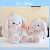 Toy Bunny Plush Cute Cartoon Butterfly Girl Children Birthday Holiday Gift Doll