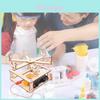 Wooden Diy Rotating Carousel Stem Educational Toy For Kids Handmade Science Experiment