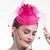 Feather Veil Headband With Lace Flower Women Elegant Hat Headwear Hairpinsfascinating Wedding Party Hair Clip