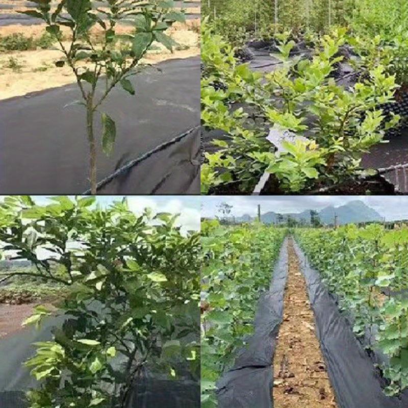1 szt., Tkanina ogrodnicza i inżynieryjna, Przepuszczalna dla wody, Tkanina zapobiegająca przerastaniu trawy, Kamień, Rabata kwiatowa, Separacja gleby,