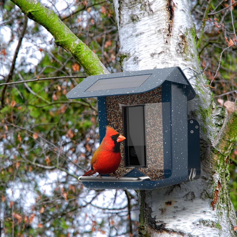 Solar Powered Outdoor Smart AI Recognition Bird Feeder with Camera