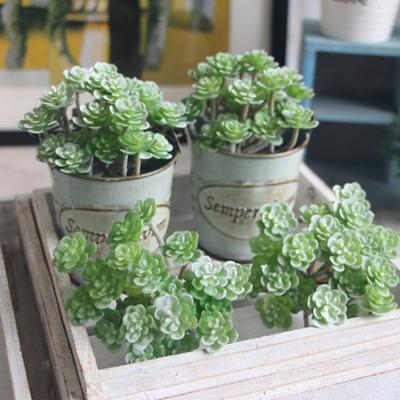 Modern Simulated Greenery Realistic Fresh Keeping Decorate