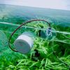 High Water Level Sensor Detector Alarm Suitable for Water for Tank Aquarium Home Basement Household Sensors Alarms