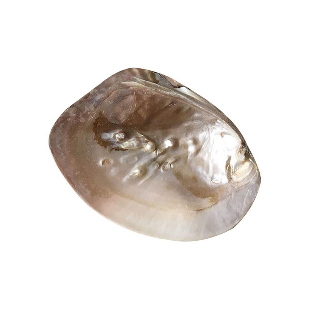 

Декор Яркий Цвет Ракушка Форма Искусство Ремесло Подставка для Хранения Ювелирных Изделий Контейнер для Хранения Shell