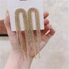 S925 Silver Needle Korean Fashion Diamond Tassel Earrings for Women