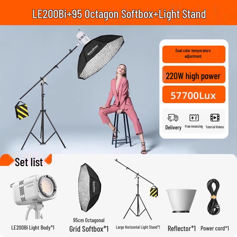 Godox LE200Bi Bi-Color LED Video Light Kit