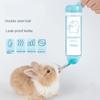 Rabbit Drink Fountain Hamster Totoro Drinking Water Apparatus Guinea Pig Special Ball Kettle Supplies Bottle