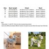 Quick Drying Dog Dinosaur Transformation Outfit Soft Pet Cosplay Costume  Grooming Salon