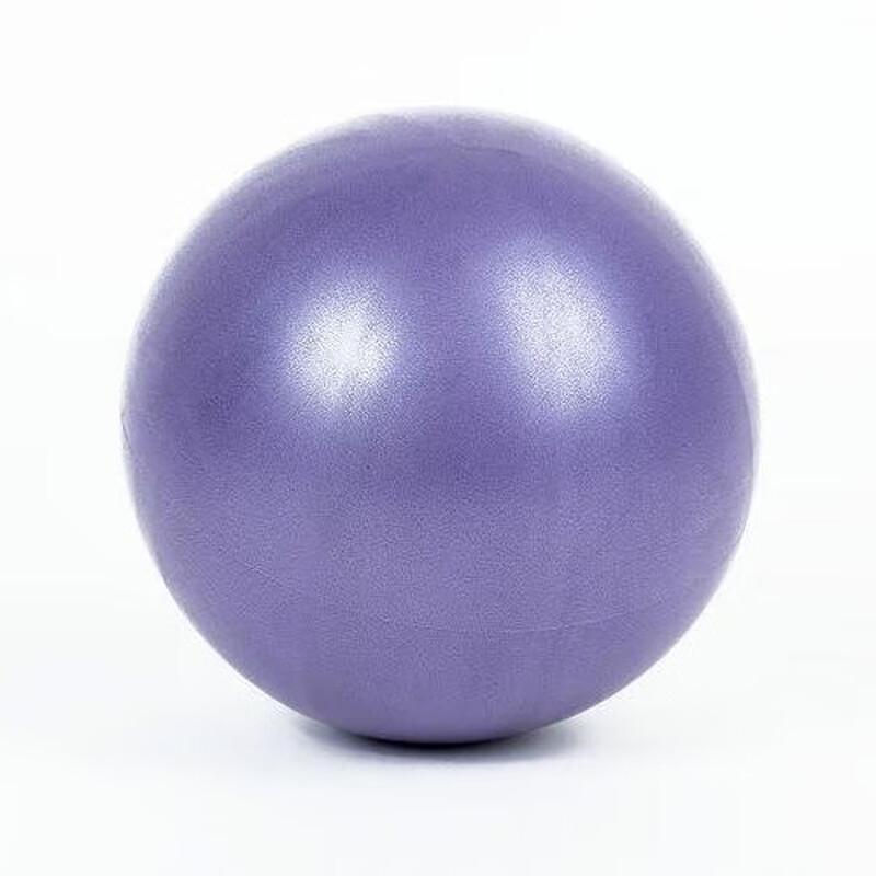 WEZHO Anti-Burst Frosted Mini Pilates Yoga Ball
