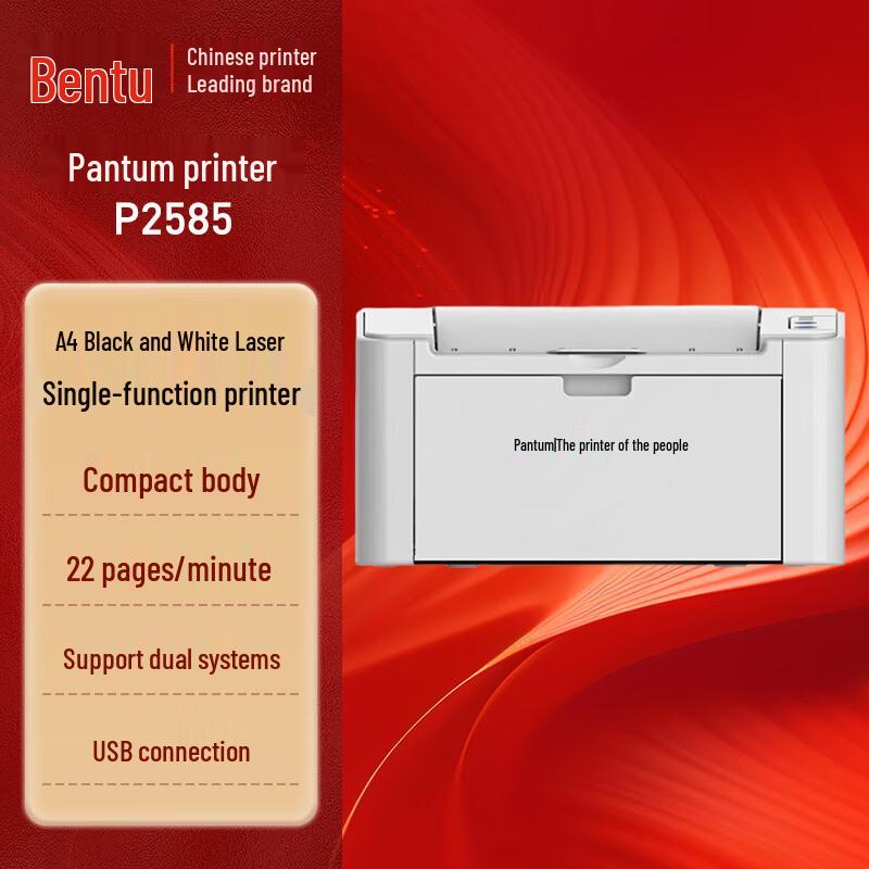 Pantum A4 Laser Printers CN plug (adapter included)
