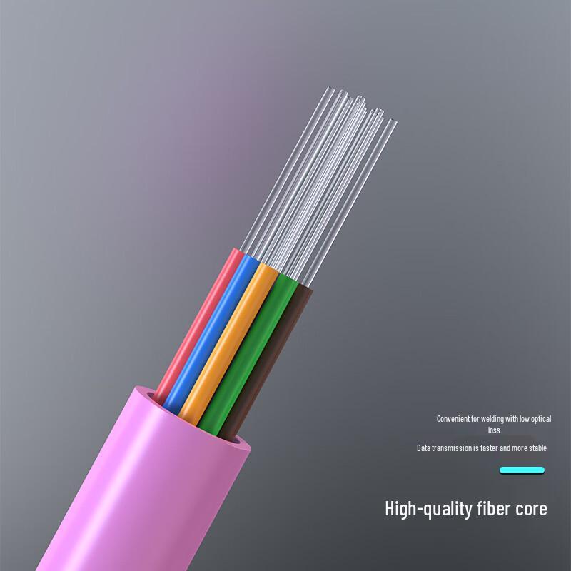 Dasheng Light 16-Core MPO-LC Multimode OM4 Fiber Optic Patch Cord