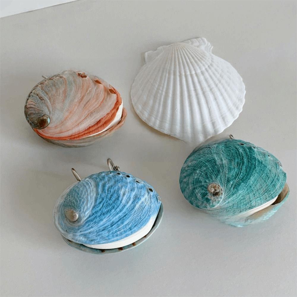 Mini Compact Natural Seashell Notebook Natural Shell Mini Notebook Sketchbook Personal Use
