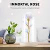 Galaxy Rose Lamp with Butterfly & Colorful LED Lights Artificial Rose in Glass Dome Battery Powered Romantic Gift for Wedding Home Decor