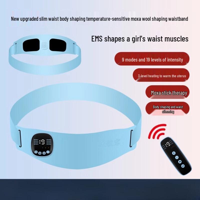 EMS Moxibustion Heating Waist Massager