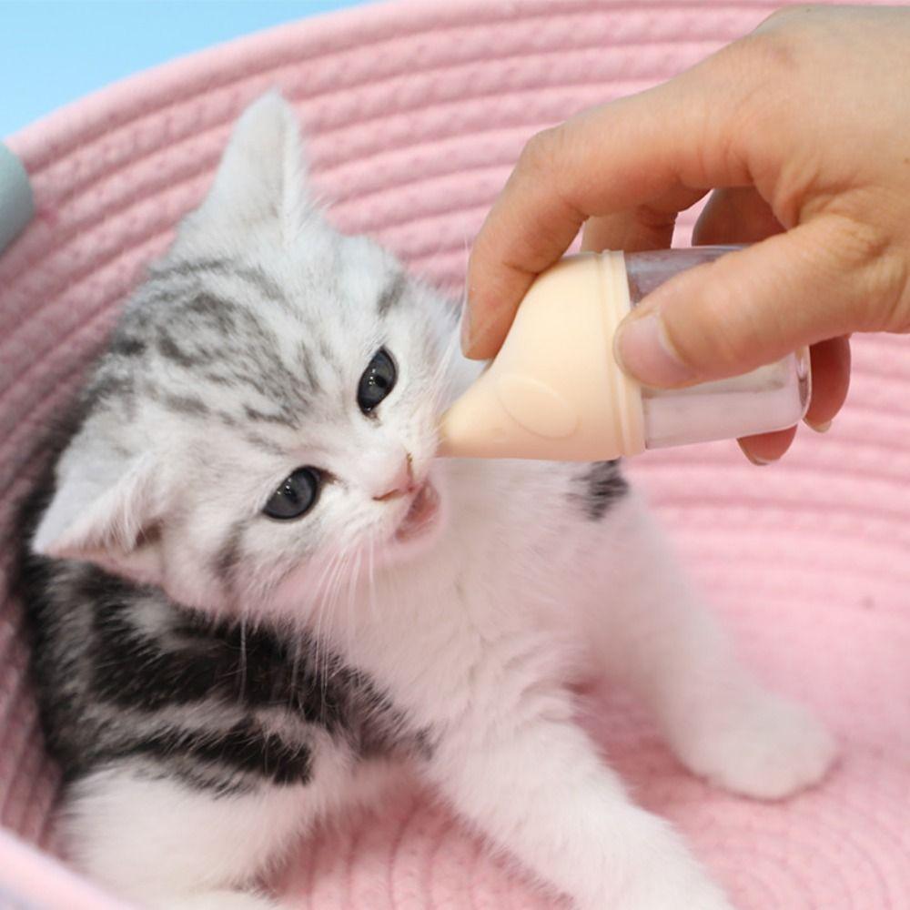 High Temperature Resistant Puppies Drinking Milk Bottles  Cat Newborn