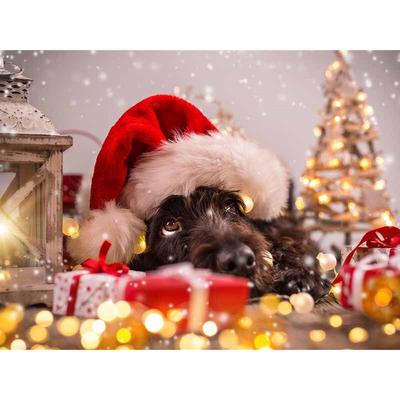 Hobby e creatività – Diamond Painting