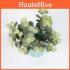 Eucalyptus Robusta Simulated Smith Used For Landscape And Wedding Design Floral
