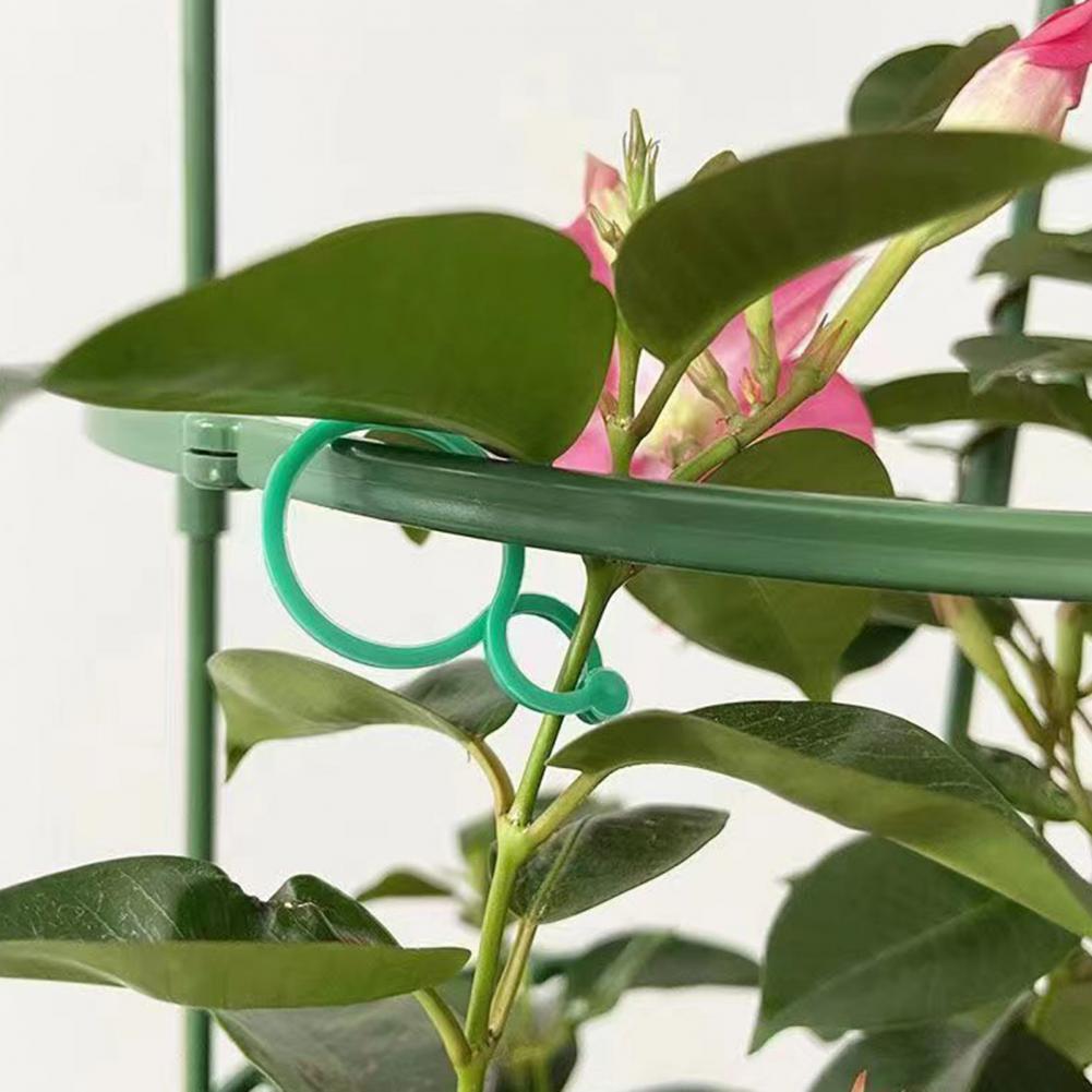 Garden Plant Clips Reusable Plant Support Clips for Climbing Plants Gentle Garden Vine Ties for Indoor Outdoor Gardening