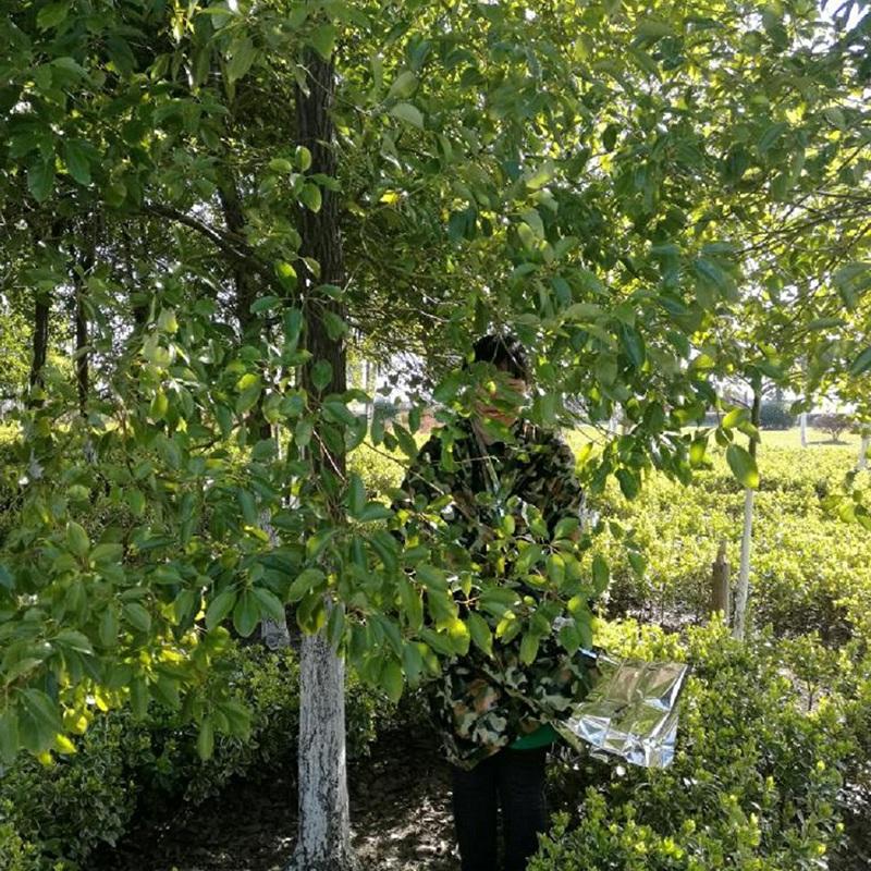 Notfall-Thermodecke, leicht, faltbar, wasserabweisend, winddicht, Sonnenschutz, wiederverwendbar, tragbar, Poncho, Campingmatte, Polsterbezug