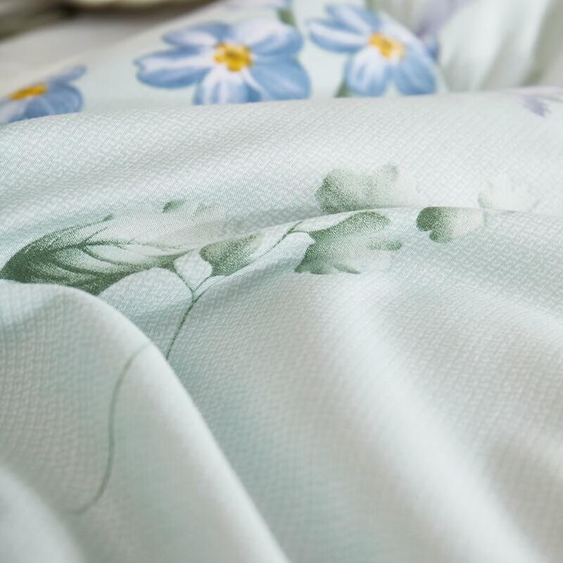 Beijiaman Lavender Soybean Skin-Friendly Winter Quilt