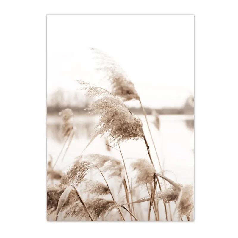 Beige Landscape Posters Sea Beach Bridge Canvas Picture Hay Reed Wall Art Flower Print Painting Nordic Poster Living Room Decor