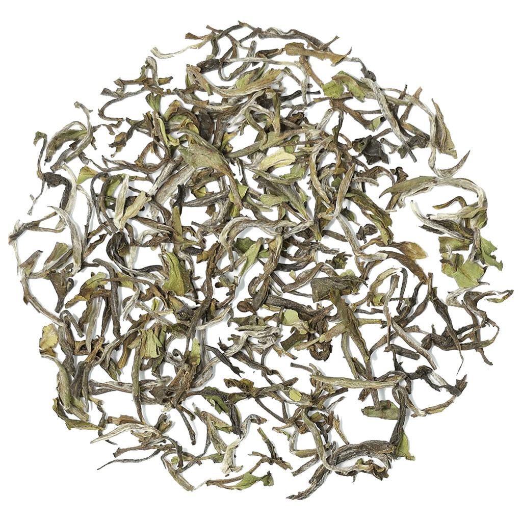 Okayti Tea Farm Darjeeling 2024 Spring Picked Black Tea Moonlight First Leaves Flush/Tea (50g)