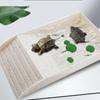 Smooth Tortoise Feeder Burr-free Turtle Feeding Basin Reptile Water Bowl  Snake