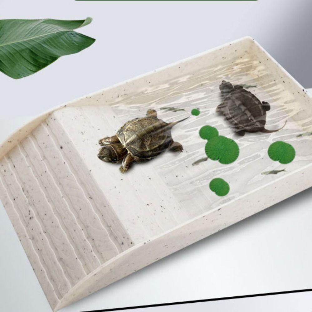 Smooth Tortoise Feeder Burr-free Turtle Feeding Basin Reptile Water Bowl  Snake