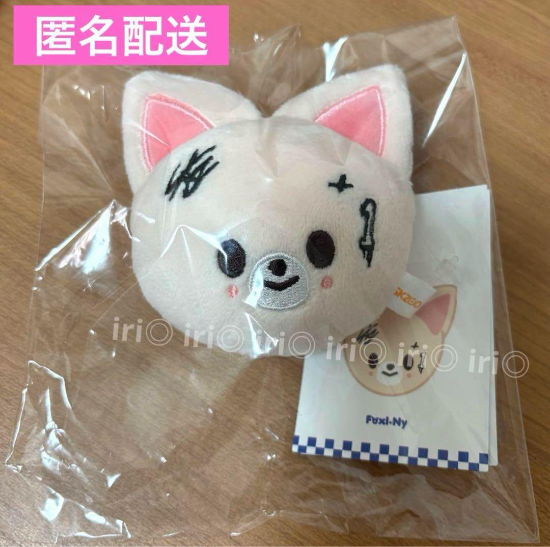 

[USED] Foxxyny Name Tag Stray Kids Karma Pop-Up