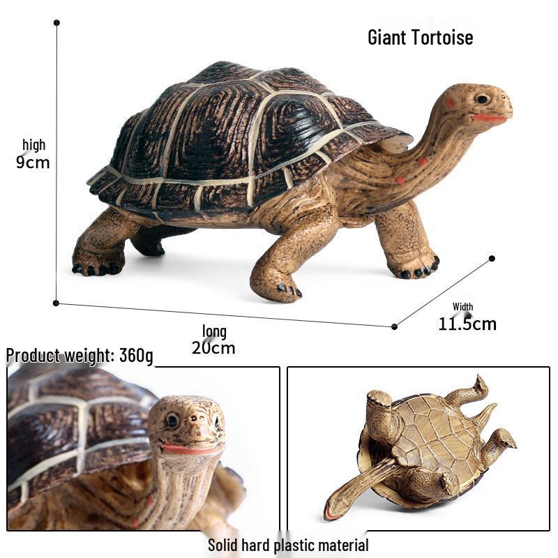 Cross-Border Children's Cognitive Amphibian & Reptile Tortoise Model Fish Tank Ornament Toy