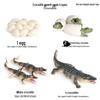 Cross-border Simulation Animal Suction Toy: Butterfly, Rooster, Ant, Frog, Sea Turtle, Mosquito Growth Cycle Models