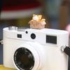 3D kreslený kryt sáněk fotoaparátu Roztomilý pro kočku DSLR Prachotěsný kryt sáněk pro DS