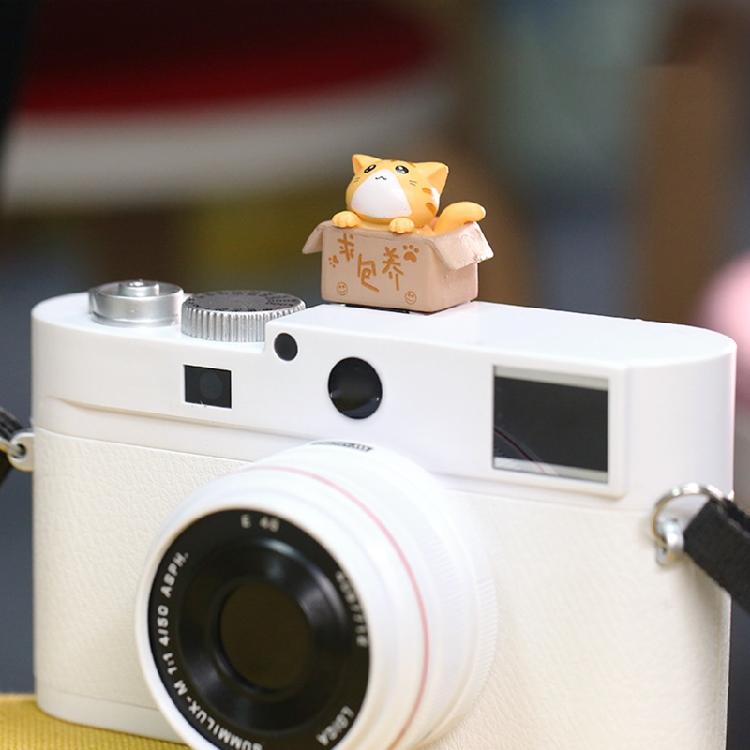 3D kreslený kryt sáněk fotoaparátu Roztomilý pro kočku DSLR Prachotěsný kryt sáněk pro DS