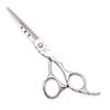 Achaobi Silver Hairdressing Scissors Set: Straight, Thinning, and Bang Shears (5.5/6 Inch).