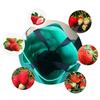 Plastic Strawberry Planting Bag Plant Grow Hanging Bag Garden Supplies
