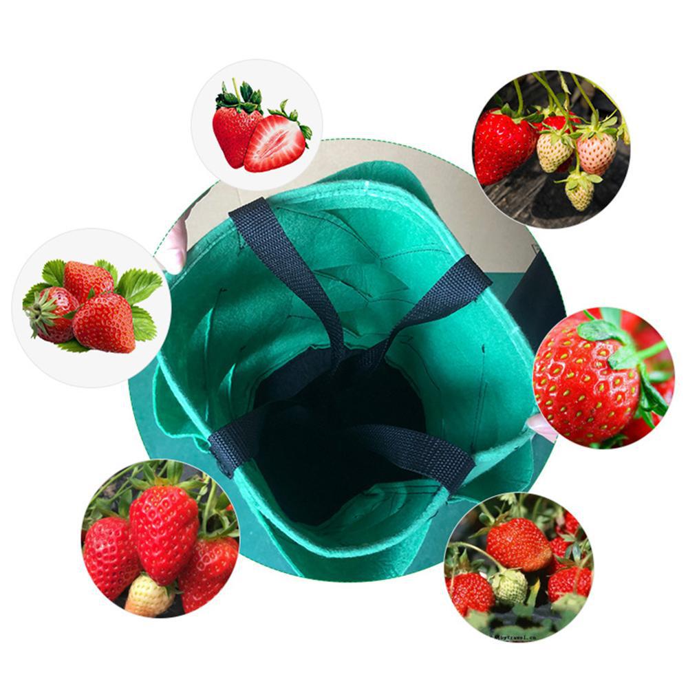 Plastic Strawberry Planting Bag Plant Grow Hanging Bag Garden Supplies