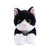 Sun Lemon Lap Black and 13 X 36 X Plush Renewal Cute Cat, White, Small, 15cm, Toy, Edition, Animal, Cat, P-1513