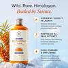 Wellbeing Nutrition Himalayan Sea Buckthorn Pulp With Curcumin Extract| Natural Vitamin C, Omega 3, 6, 7, 9 & Antioxidants| 500ml