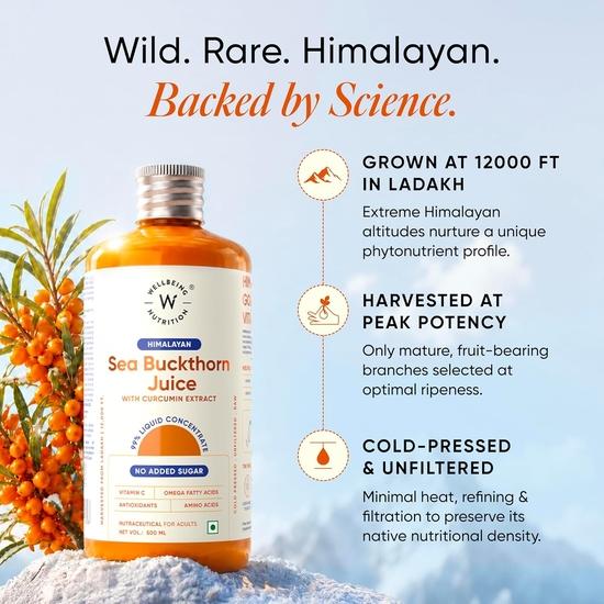 Wellbeing Nutrition Himalayan Sea Buckthorn Pulp With Curcumin Extract| Natural Vitamin C, Omega 3, 6, 7, 9 & Antioxidants| 500ml