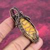 Fossil Coral Pendant Copper Wire Wrapped Gemstone Jewelry Handmade Unique Pendant