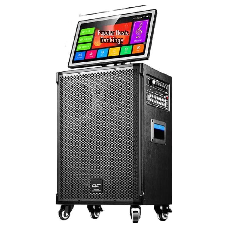 SAST All-in-One Karaoke System with 12-inch Bass Speaker CN plug (adapter included)