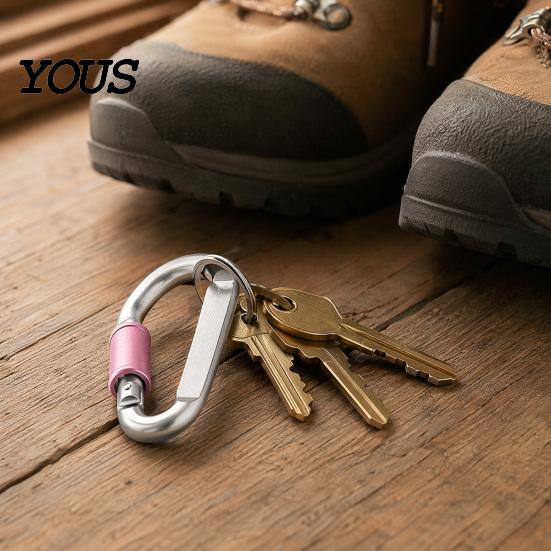 Aluminium Karabiner 4 Stück Heavy Duty Clip, Legierung Outdoor Schlüsselanhänger Karabiner, D-förmige Metallhaken Schnalle für Wasserflasche, Schlüssel, Rucksack